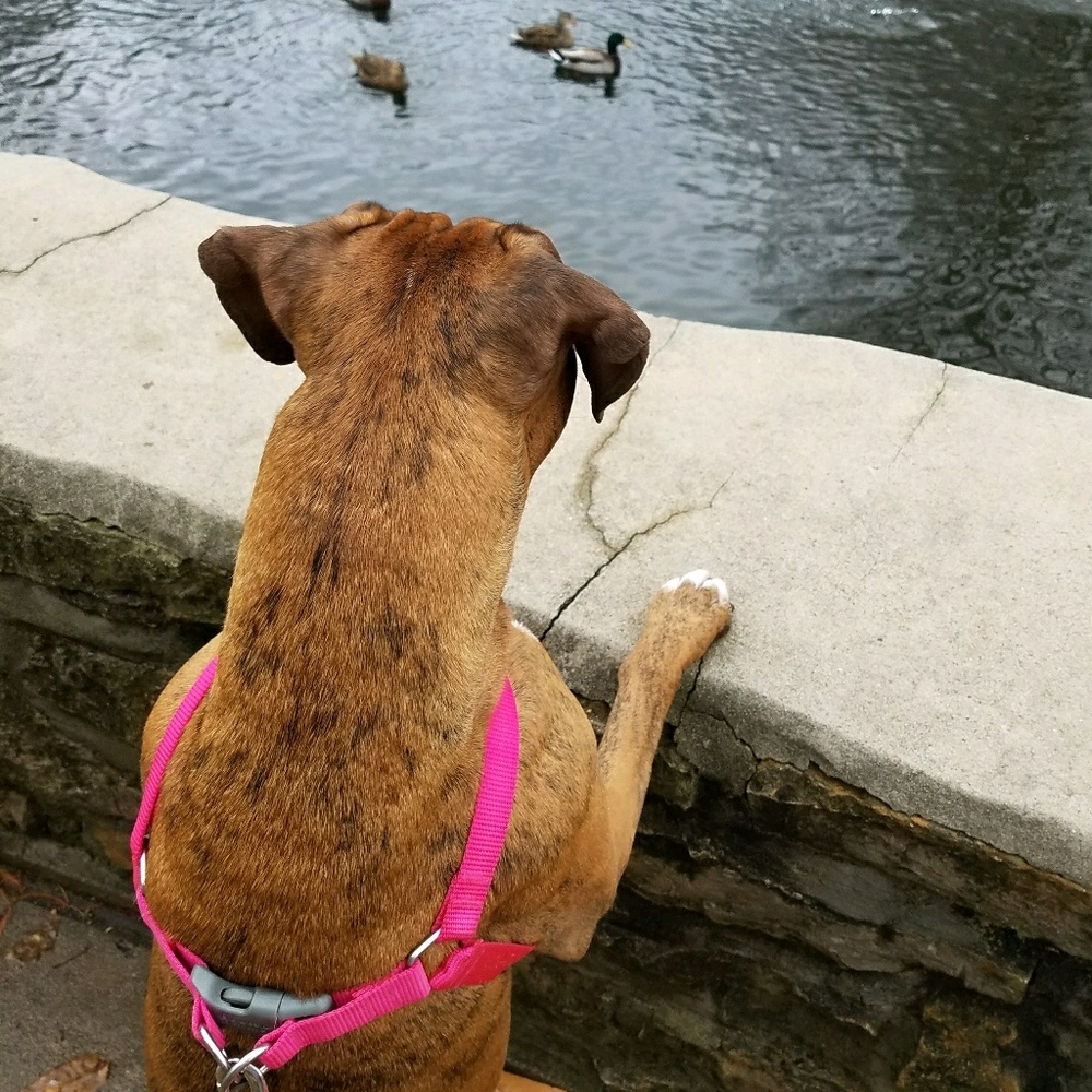 Meet your Posher, Michael